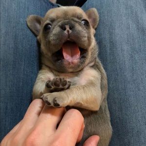 Meet your Posher, Rahma